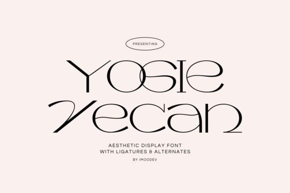 Yogie Vecan: The Elegant Display Font for Campaigns